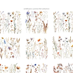 13 fleurs sauvages séchées Png Clipart, fleurs des prés, aquarelle transparente, téléchargement numérique, créations en papier, journal indésirable, impressions de bordure douce