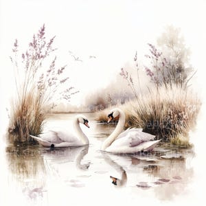 9 imágenes prediseñadas de cisnes, imágenes prediseñadas de aves de estanque en acuarela, paisaje natural imprimible, JPG de alta calidad, descarga digital, manualidades de papel, diario basura
