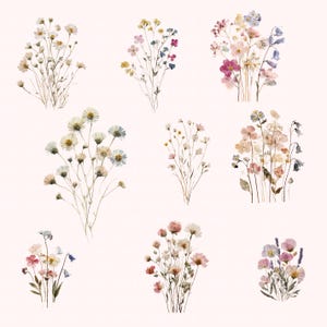 May include: A collection of nine distinct watercolor-style floral arrangements featuring various wildflowers in shades of pink, blue, yellow, and white. Each bouquet displays delicate stems, small petals, and buds arranged in loose, natural clusters.