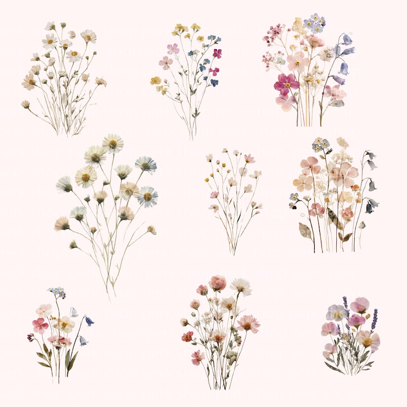 May include: A collection of nine distinct watercolor-style floral arrangements featuring various wildflowers in shades of pink, blue, yellow, and white. Each bouquet displays delicate stems, small petals, and buds arranged in loose, natural clusters.