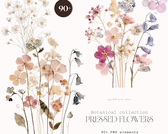 Pressed Flower Clipart Bundle, Botanical PNG Set, Wildflower Clipart, Pastel Floral PNG, Cottagecore Flowers, Delicate Botanical Collection
