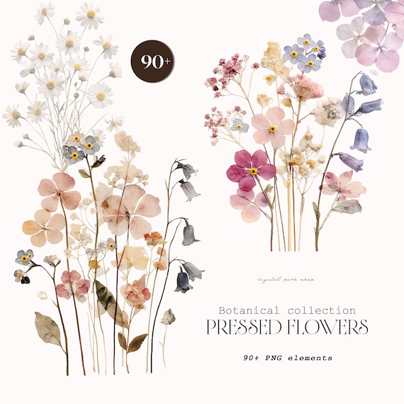 Pressed Flower Clipart Bundle, Botanical PNG Set, Wildflower Clipart, Pastel Floral PNG, Cottagecore Flowers, Delicate Botanical Collection