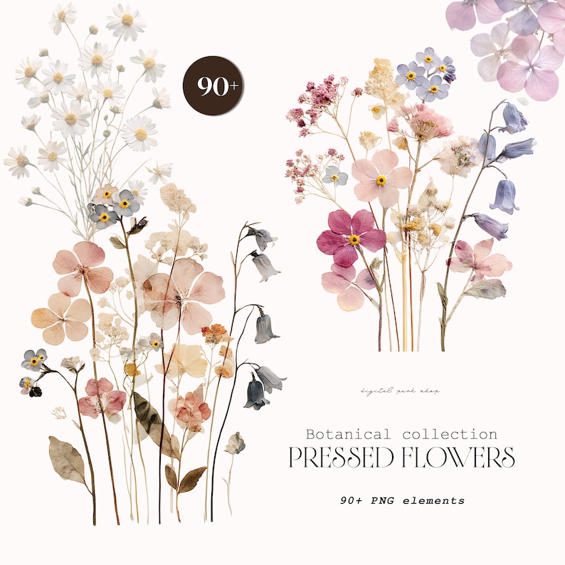 May include: A digital collection of pressed flowers featuring over 90 PNG elements. The image displays various botanical stems with white daisies, pink blossoms, blue bell-shaped flowers, and small purple petals, with text reading Botanical collection PRESSED FLOWERS.