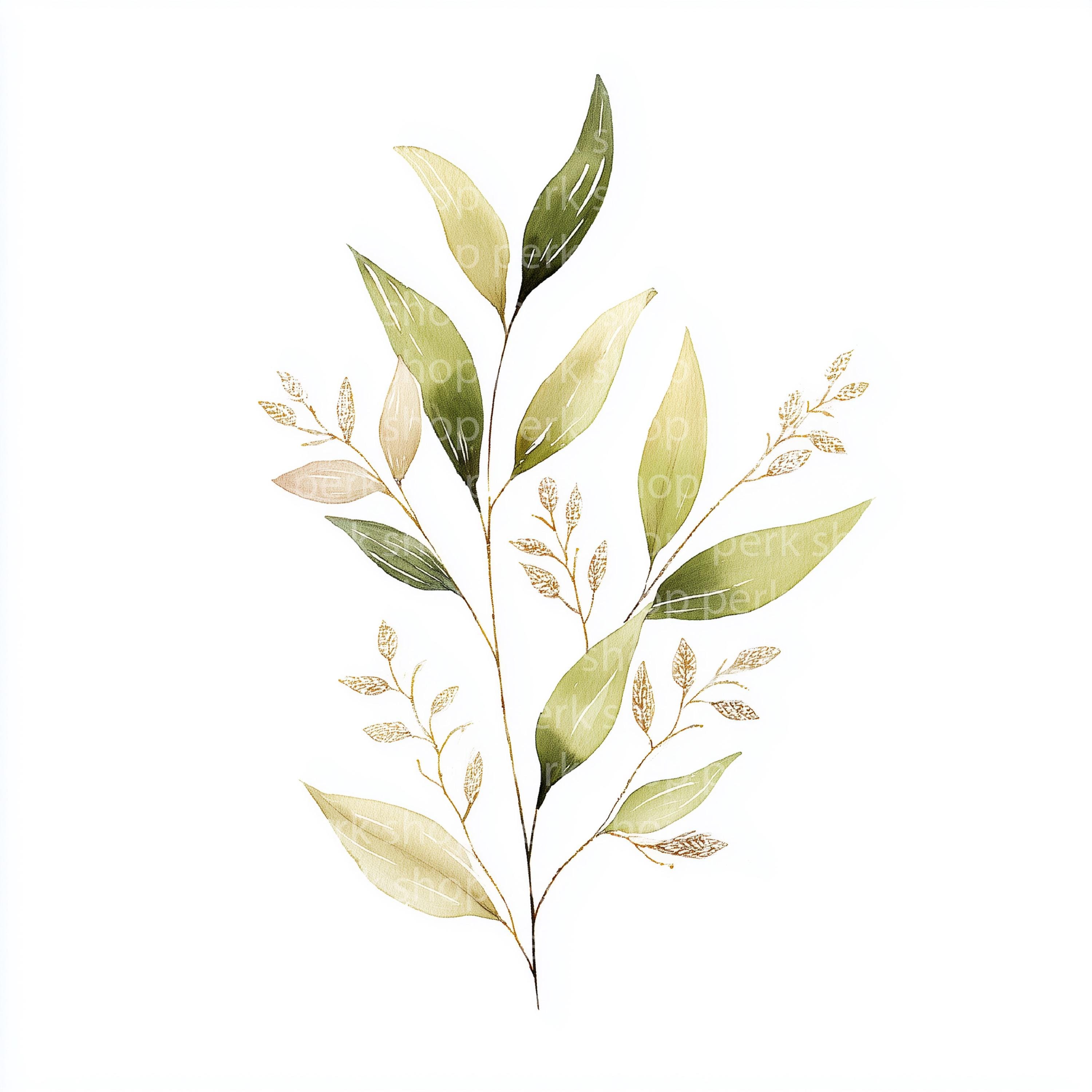 Eucalyptus Gold Leaf Clipart: Watercolor Foliage Art (digital Download ...
