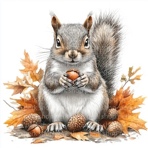 10 Clipart aquarelle écureuil automne | Illustration d'animal des bois d'automne avec des glands et des feuilles | Art mignon de créature de la forêt pour cartes, décoration