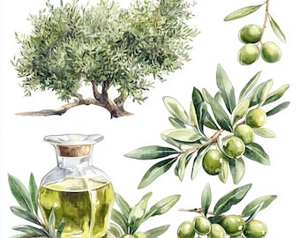 Olive tree clipart, Olive oil farm clip art watercolor, Mediterranean produce oil, Printable scrapbooking, craft card, junk journal, labels
