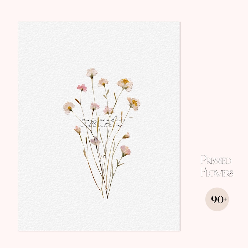 May include: A white textured print featuring a delicate arrangement of watercolor-style wildflowers in shades of pink, white, and yellow. The text "watercolor collection" is centered over the stems, with "PRESSED FLOWERS" and "90+" to the right.