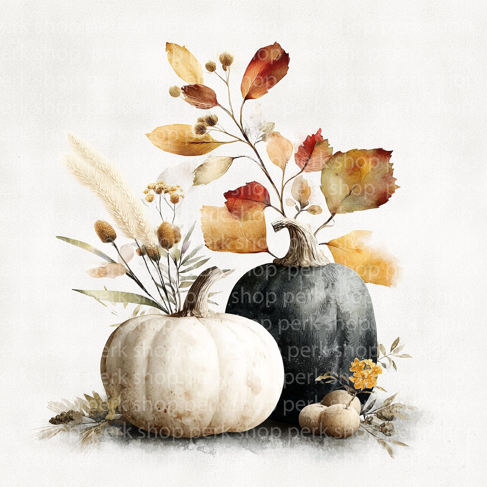 White Pumpkin Watercolor Clipart: Elegant Fall Bouquet (digital ...