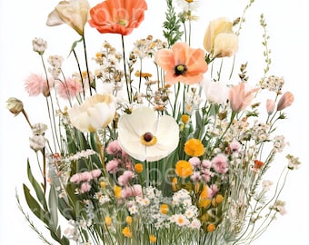 Watercolor Wildflower Clipart: Summer Floral Field (Digital Download)