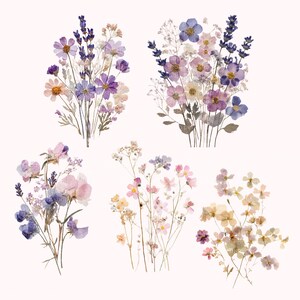 May include: A collection of five distinct arrangements of pressed dried flowers featuring a variety of botanical specimens in shades of purple, lavender, pink, white, and pale yellow, displayed against a plain, light-colored background.
