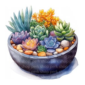16 Clipart di cactus, clipart di piante grasse ad acquerello, stampabili, PNG/JPG di alta qualità, download digitale, artigianato di carta, diario di spazzatura, amante delle piante
