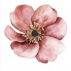 21 imágenes prediseñadas de flores abstractas, flores de oro rosa, impresión de flores, imágenes prediseñadas de acuarela imprimibles, PNG de alta calidad, descarga digital, manualidades de papel