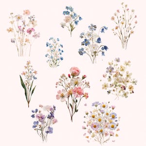 May include: A collection of watercolor-style floral illustrations featuring various bouquets and individual stems. The artwork displays a variety of delicate flowers in shades of pink, blue, white, and yellow, arranged in distinct clusters on a light background.