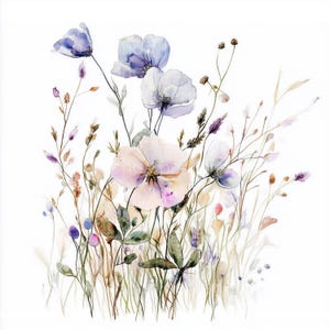 8 clipart de flores silvestres diversas, ilustrações florais em aquarela, impressões botânicas para impressão, download digital, diário de lixo, álbum de recortes