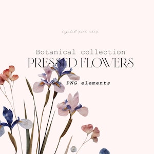 May include: A digital collection of pressed flowers featuring various iris blossoms in shades of blue, purple, and pink with green stems. The text reads: digital perk shop, Botanical collection, PRESSED FLOWERS, and 90+ PNG elements.