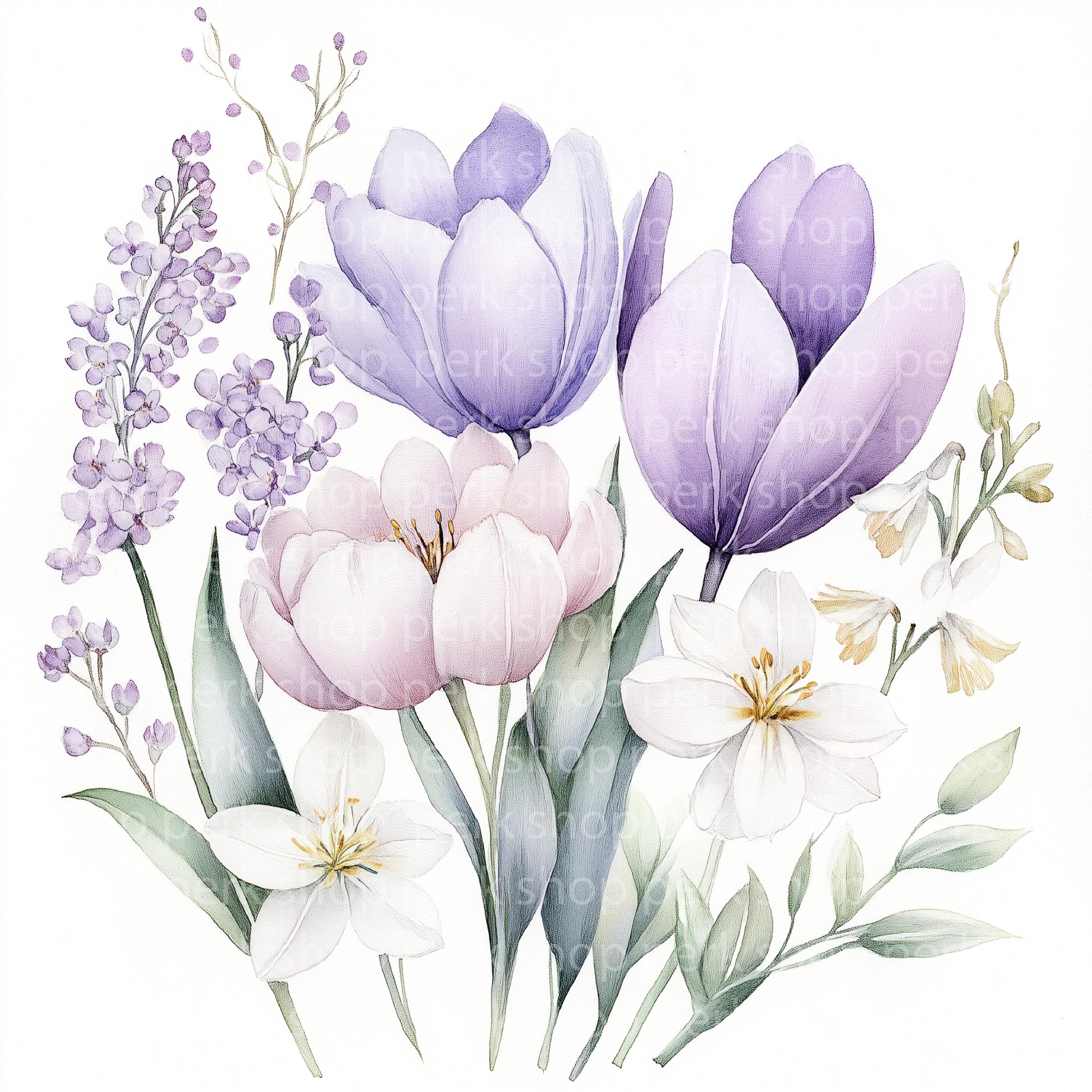 Watercolor Spring Tulip Clipart: Floral Bouquet Graphics (JPG/PNG) - Etsy