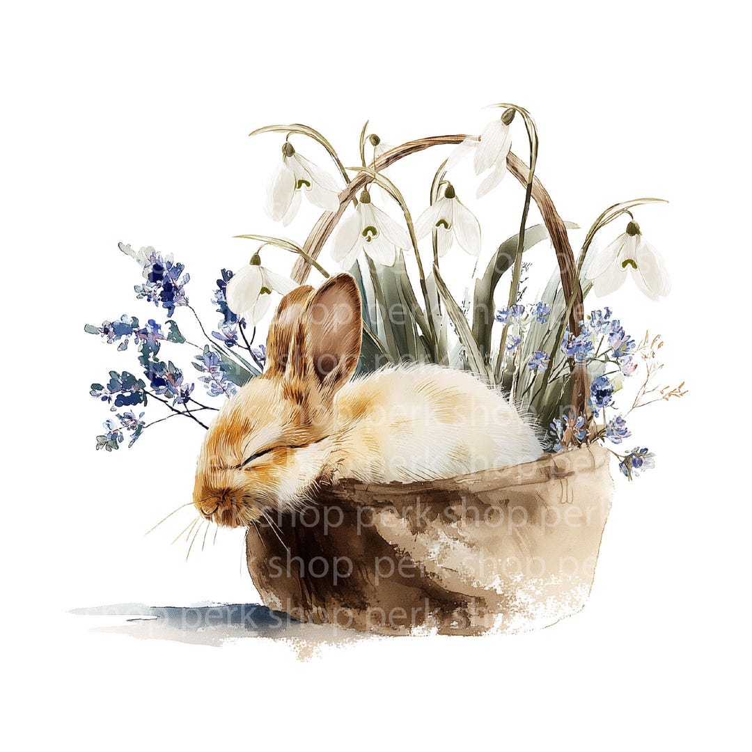 Easter Bunny Clipart PNG, Watercolor Sleeping Rabbit With Snowdrops ...