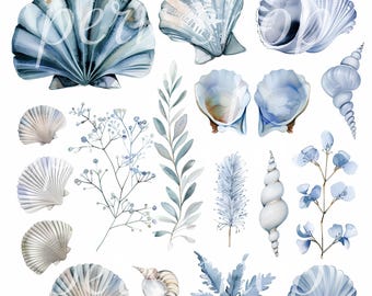 Seashells Clipart: Watercolor Coastal Botanical PNGs (Digital Download)