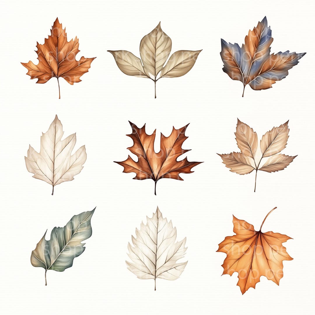Watercolor Autumn Leaves Clipart Set: Botanical Illustration (JPG ...