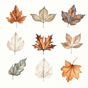 Ensemble de 8 feuilles à l'aquarelle | Lot de feuilles d'automne | Illustration botanique de feuillage pour le scrapbooking, sublimation, journal indésirable, autocollants