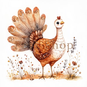 8 adoráveis clipart de peru em aquarela - gráficos de Ação de Graças pintados à mão, jpeg popular para impressão, download digital, artesanato em papel, diário de sucata