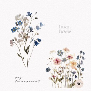 May include: A collection of pressed flowers featuring two distinct botanical arrangements with blue, pink, and white petals on thin green stems. The text reads Pressed Flowers, png transparent, and 90+. The flowers are displayed against a white background.