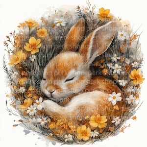 12 clipart lapin floral, clipart animal printemps, lapin dans un panier de fleurs, aquarelle de Pâques imprimable, carte de visite, journal indésirable, album de scrapbooking