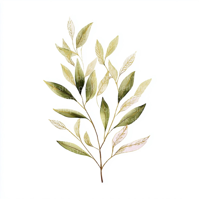 Eucalyptus Gold Leaf Clipart: Watercolor Foliage Art (digital Download ...