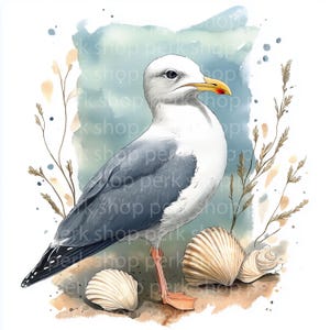 9 Seagull  clipart, Coastal birds watercolor clipart, Printable High Quality JPG, Digital download, Paper craft, junk journal, seaside print