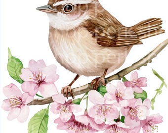Bird on Cherry Blossom Branch Watercolor Clipart (Digital Download)