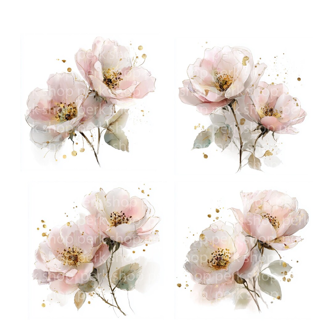 Watercolor Flowers Clipart: Blush Pink Peonies (digital Download, Jpgs ...