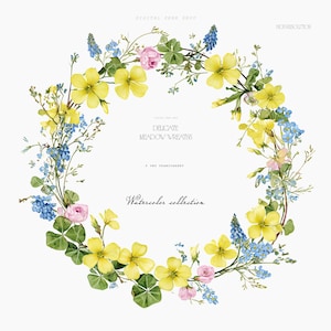 Puede incluir: Una corona de acuarela con flores amarillas, azules y rosas, con hojas verdes. El texto "DELICATE MEADOW WREATHS" y "Watercolor collection" son visibles. La imagen es un archivo PNG de alta resolución.