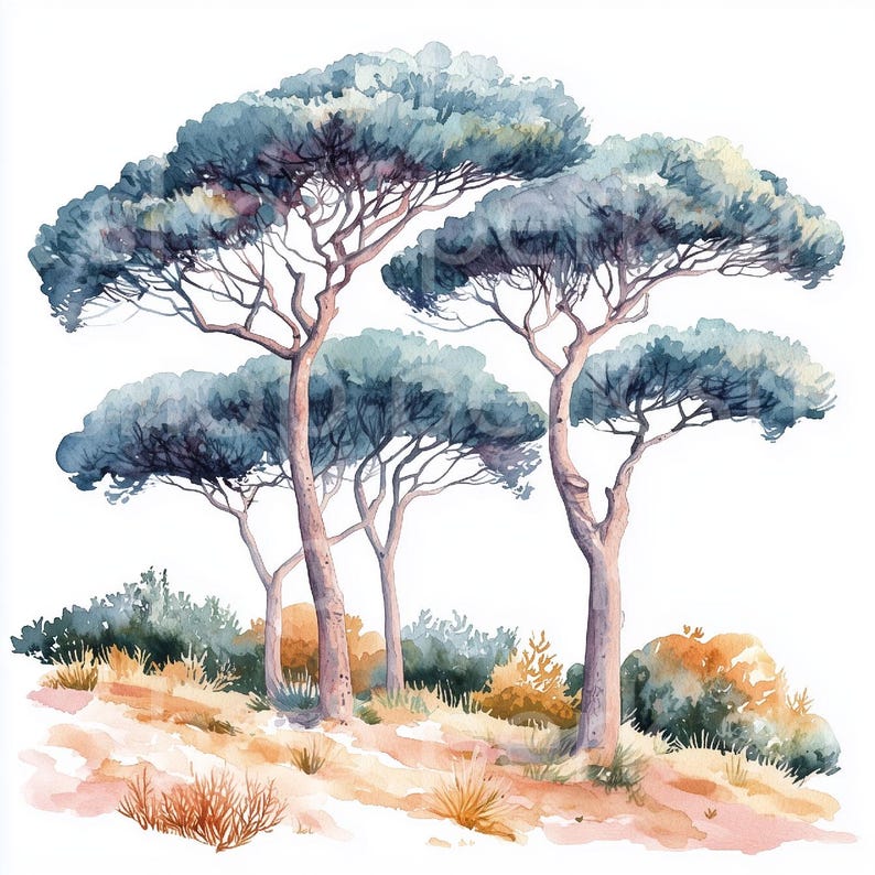 Italian Tree Graphics Italian Pine Watercolor Clipart: Mediterranean Tree Digital Art ...