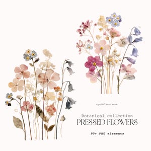 May include: Two clusters of pressed flowers in shades of pink, blue, and cream. The text reads: Botanical collection PRESSED FLOWERS 90+ PNG elements. The floral arrangements feature delicate stems, small blossoms, and bell-shaped petals.