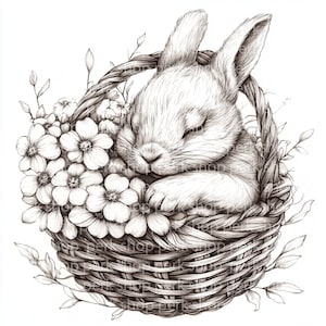 11 imágenes prediseñadas de conejito de Pascua, conejo dibujado a mano en una canasta de flores, boceto en blanco y negro, tarjeta de manualidades, diario basura, álbum de recortes JPG, imagen vintage