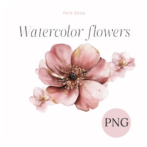 PNG Blumen Clipart, Rosa Gold Aquarell, Hagebutte Aquarell Clipart, Blush Blüte Kunst, Hi Res PNG, digitaler Download, Papiermodell, printable