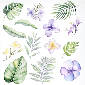 Tropical Leaves & Flowers Clipart: Hawaiian Watercolor Set (Digital Download, JPG, Commercial License)