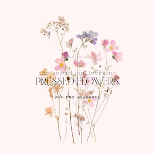 Pressed Flower Clipart Bundle, Botanical PNG Set, Wildflower Clipart, Pastel Floral PNG, Cottagecore Flowers, Delicate Botanical Collection image 2
