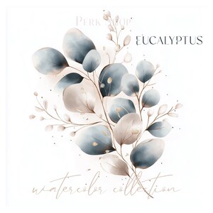15 Elegante Eukalyptus Aquarell Laub Clipart mit Beige und Gold Akzenten - Perfekt für Hochzeitseinladungen, digitaler Download, druckbar
