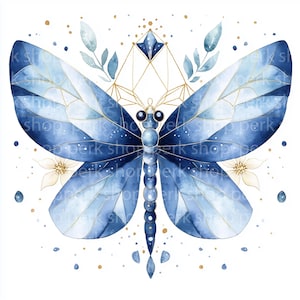 8 Clipart libellule aquarelle | Illustration florale d'insecte | JPG botanique pour sublimation, journaux indésirables, art mural, scrapbooking, autocollants