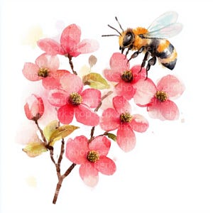 8 bijen en bloemen clipart, Floral hommel aquarel clipart, afdrukbaar, hoge kwaliteit PNG/JPG, digitale download, Papercraft, junk journal