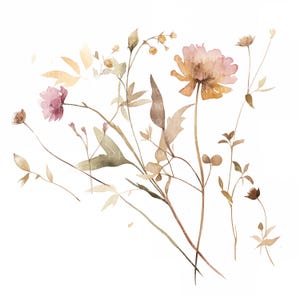 Watercolor Wildflower Clipart: Blush Floral Illustrations (Digital Download)