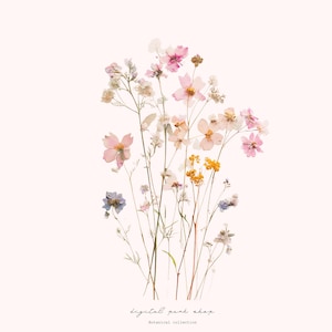 May include: A collection of pressed wildflowers featuring shades of pink, yellow, and blue on thin green stems. The arrangement includes delicate petals and small buds. At the bottom, the text reads digital peak shop and Botanical collection.