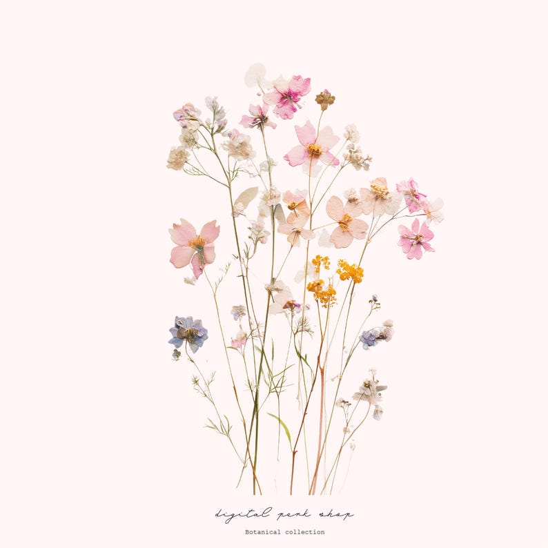 May include: A collection of pressed wildflowers featuring shades of pink, yellow, and blue on thin green stems. The arrangement includes delicate petals and small buds. At the bottom, the text reads digital peak shop and Botanical collection.