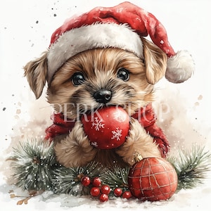 8 pacote de clipart de Natal, pacote de clipart de filhotes, clipart de filhotes, clipart de filhotes fofos, clipart de filhotes de Natal, clipart de cachorros de Natal.