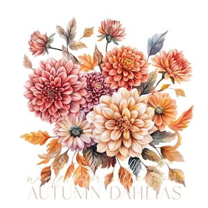 16 Dahlien png, digitaler Download, Aquarell Mamas Blume Clipart, Herbst Bastelpapier, Junk Journal Sticker, Sofort bedruckbar, Scrapbooking