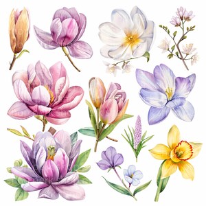 Conjunto de clipart em aquarela com 5 flores da primavera, aquarela para impressão digital, diário de lixo, jpgs de alta qualidade para fazer cartões, papéis para decoupage