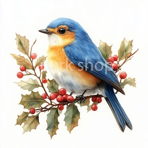 11 clipart de Natal de Robin, decoração digital de aquarela de pássaro de inverno, papel artesanal para impressão, cartão de scrapbooking, diário de lixo, adesivos, download