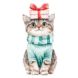 May include: A cute tabby cat wearing a teal blue sweater with a white and teal striped scarf. The cat is sitting with a red and white polka dot gift box on its head.