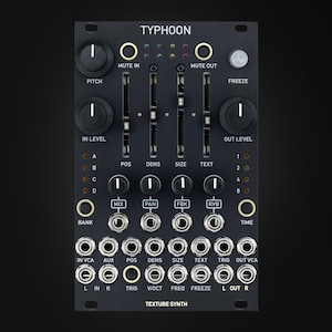 Peut inclure: Module de synthétiseur modulaire noir avec le texte "TYPHOON" en haut. Comprend des boutons, des curseurs et des prises d'entrée/sortie. Comprend des étiquettes de texte telles que "PITCH", "IN LEVEL", "OUT LEVEL" et "TEXTURE SYNTH".